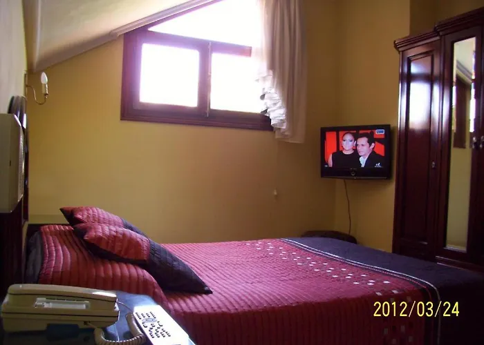 诺奈酒店 酒店 *