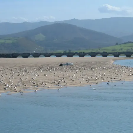 酒店 诺奈酒店 圣维森特-德拉巴尔克拉